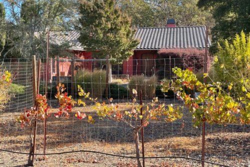 Haas Vineyard Home3x2 (1)