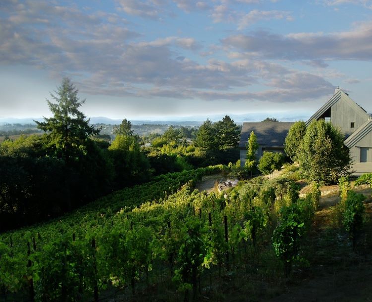 A California Superstar in the Making: Wentworth Vineyards