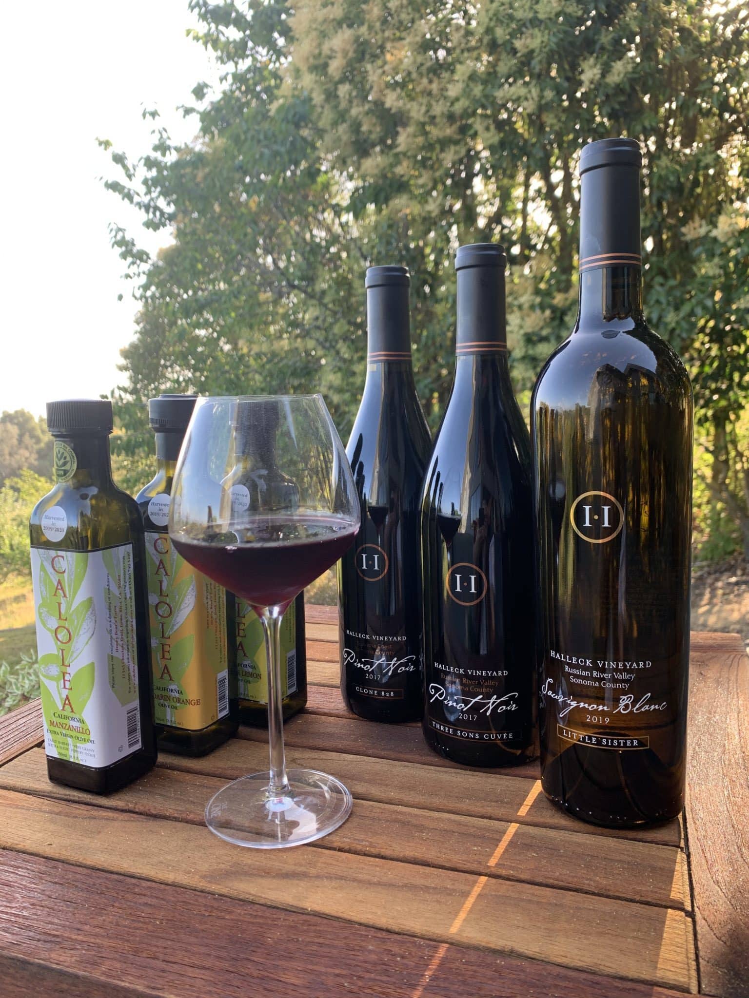 Wine Tasting Experiences In Sonoma Valley