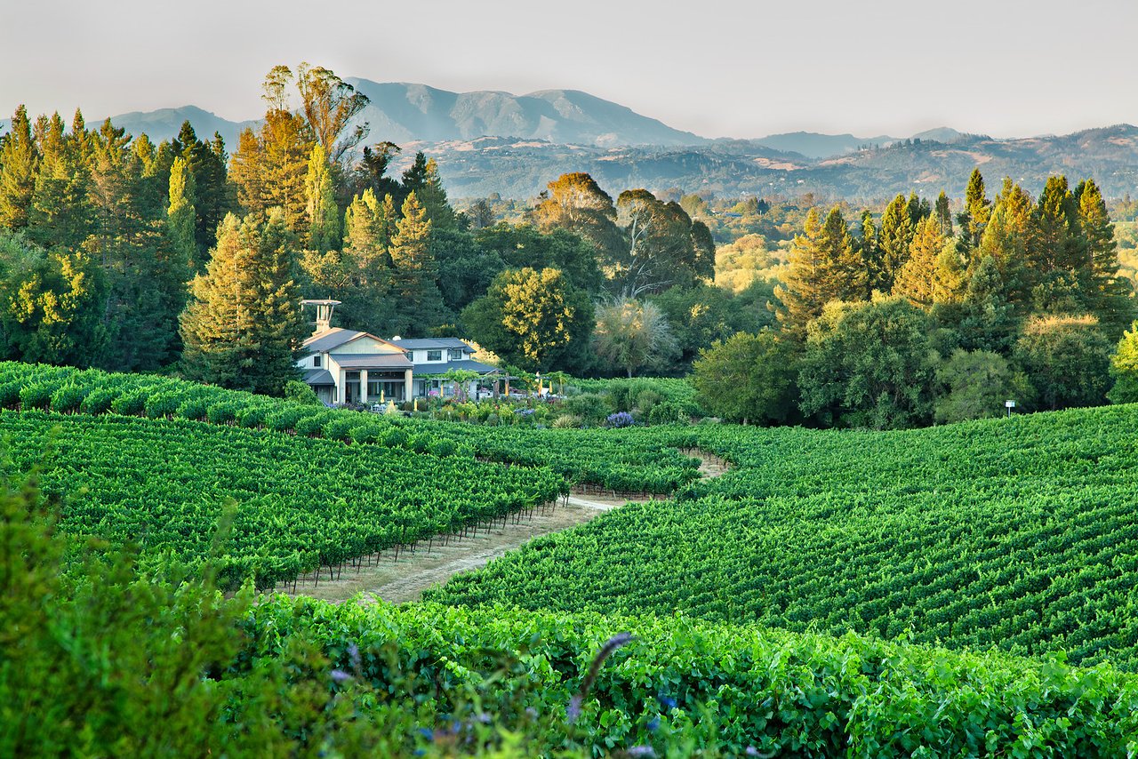 Sonoma Wineries for Wine Tasting in 2023, Sonoma County Wine Tasting Blog, Elegant Sonoma County Vineyard Tours, Award-Winning Sonoma Winery, Cool  Climate Wine Guide, Sustainable Vineyards Sonoma