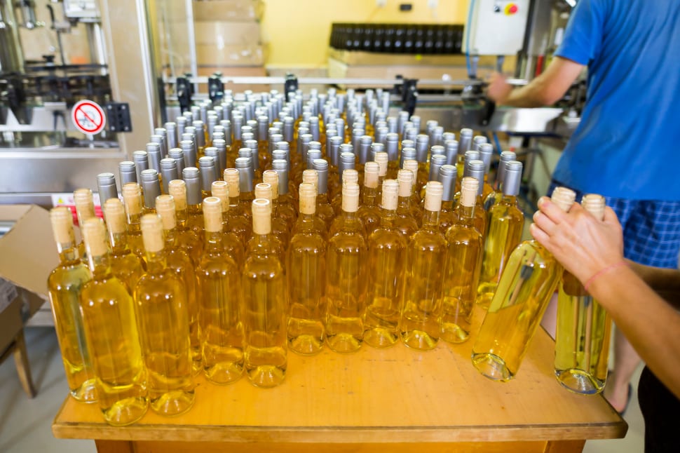 Winemakers bottling a new Chardonnay vintage in Sonoma County.