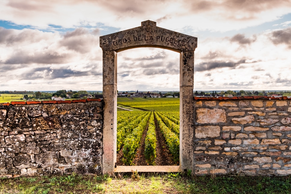 Bourgogne Clos de la Pucelle grand cru vineyard, old fence with arch in the morning.