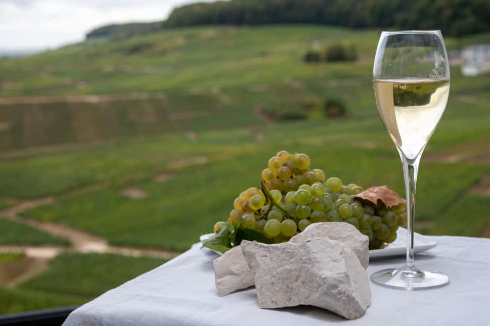 Chardonnay comes from green-skinned grapes which are a cross between Pinot Noir and Gouais Blanc.