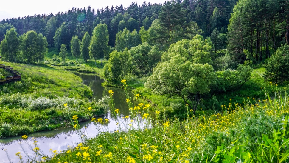 The Russian River Valley AVA is an American Viticultural Area in Sonoma County, California.