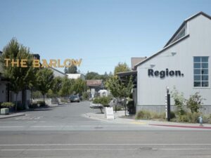 Winery of the Week – The Region in Sebastopol