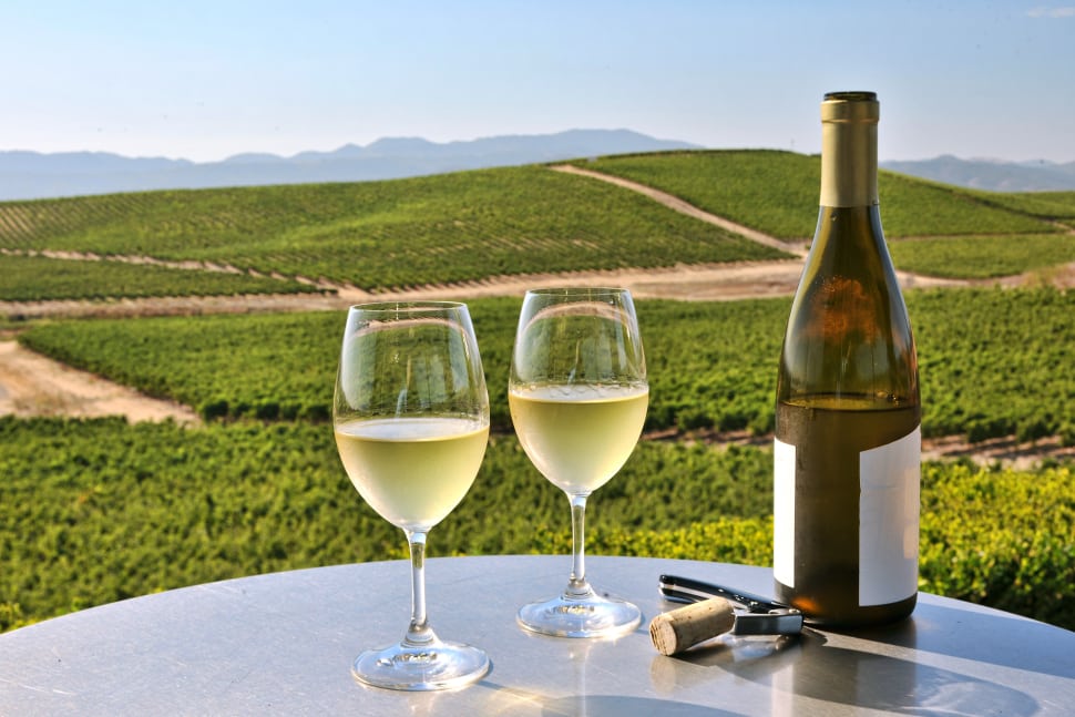 Chardonnay wine pairing tips, tasting notes and history.