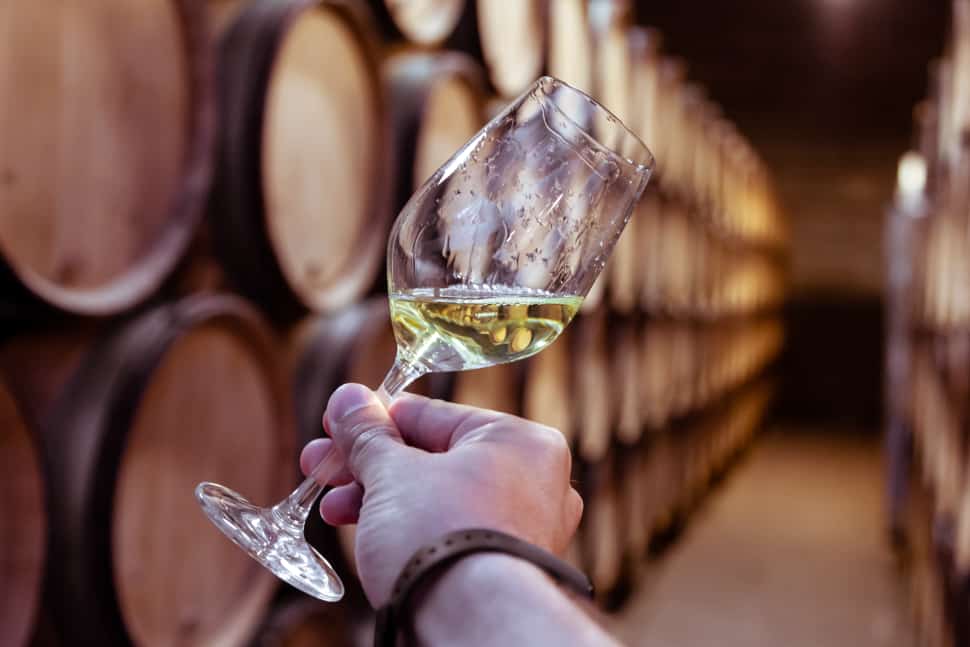 White wine on wooden oak barrels stacked in rows in order in cellar of winery. 