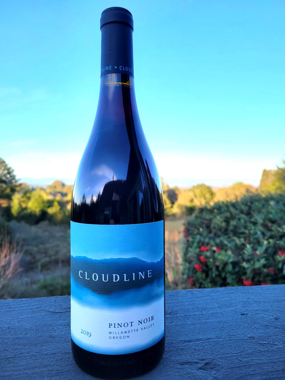 The Cloudline Pinot Noir 2019 from Willamette Valley, Oregon.