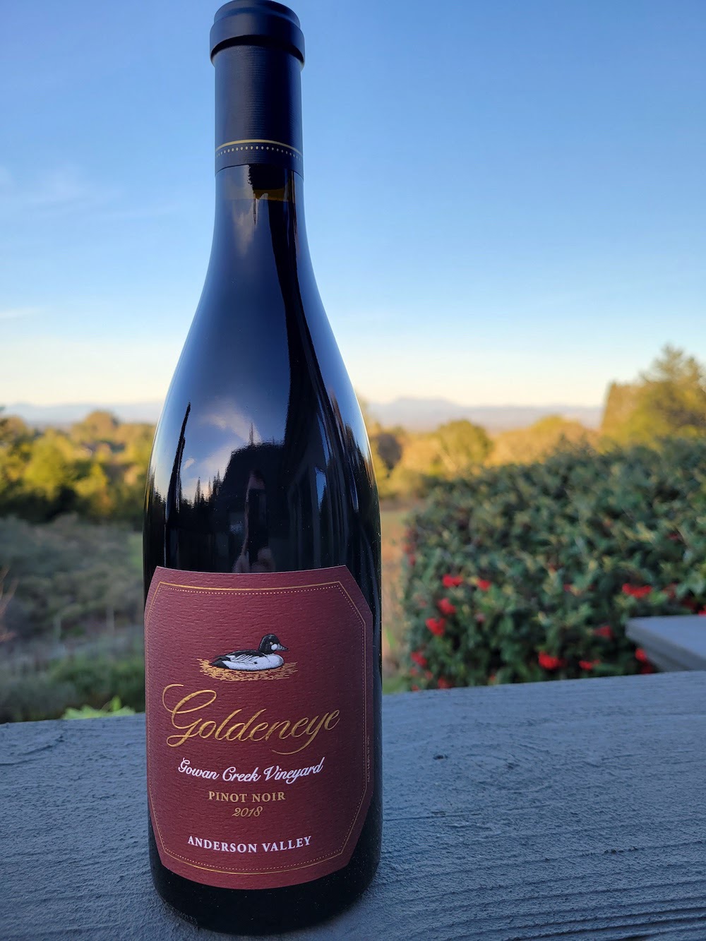 The Goldeneye Pinot Noir 2018 from the Anderson Valley in Sonoma