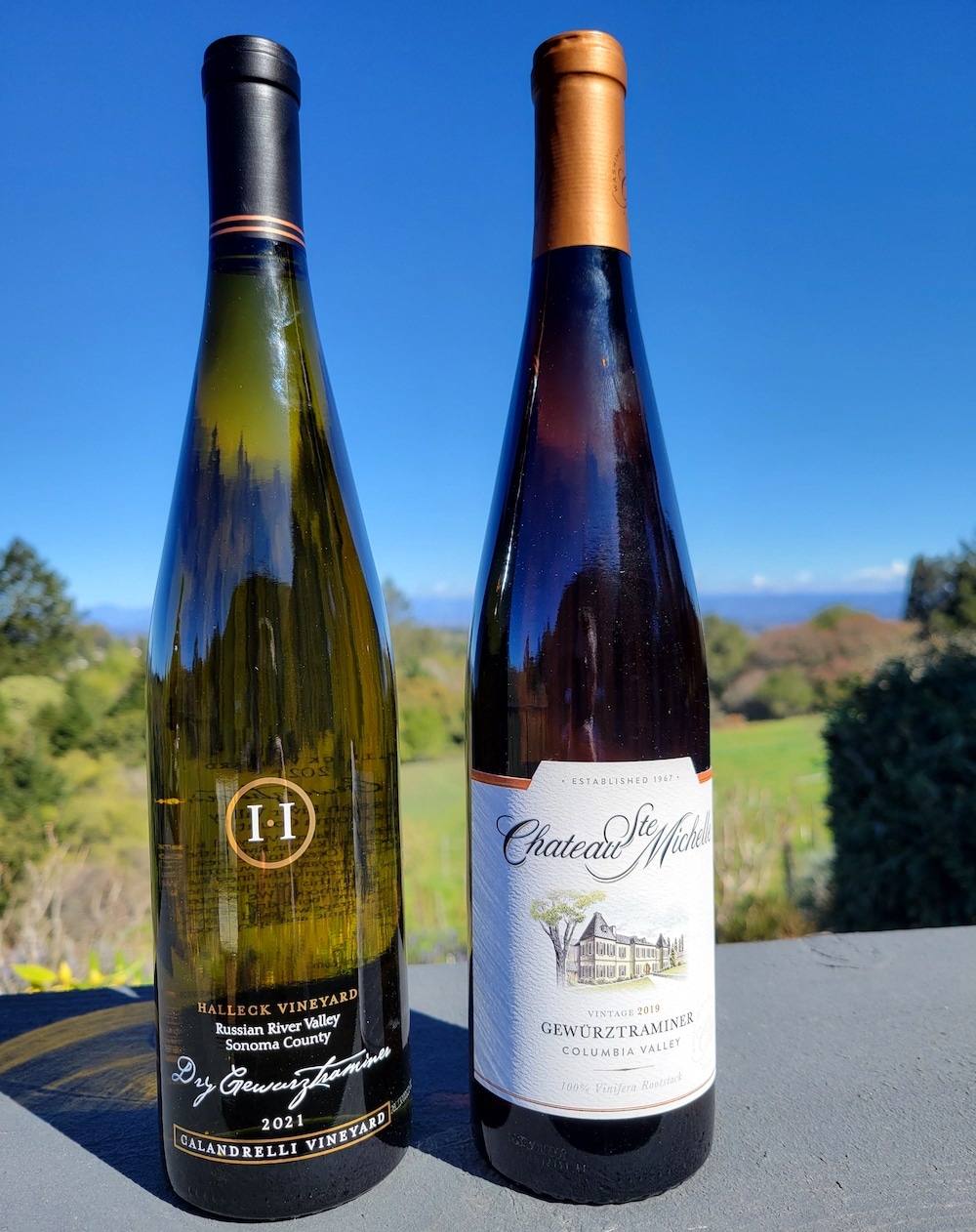 Wineries Near Sebastopol For Tasting