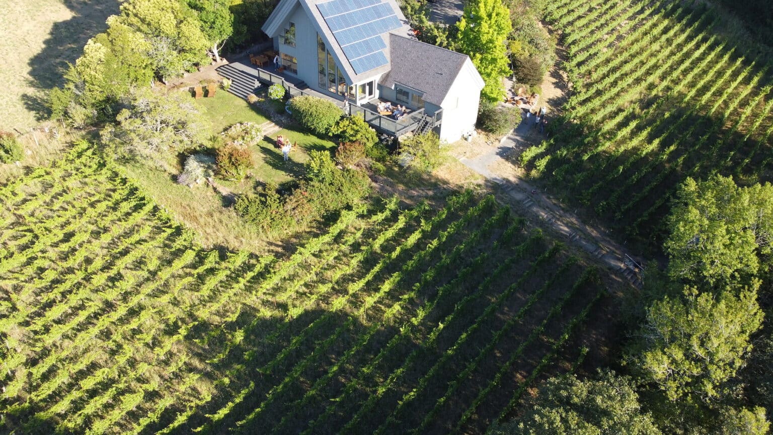 Russian River Wineries Top 7 Russian River Valley Wineries Sonoma