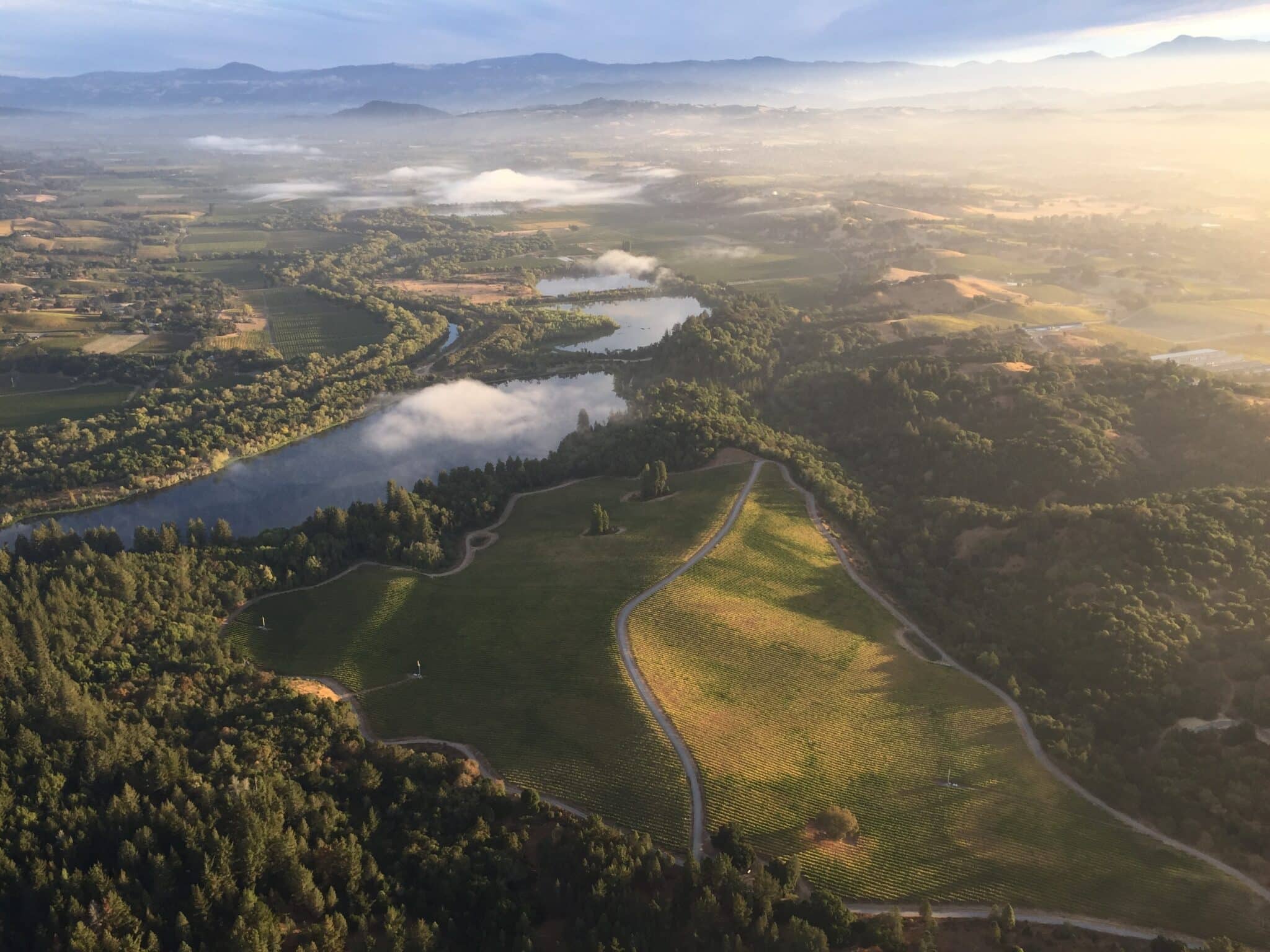 Wineries Near Sebastopol For Tasting