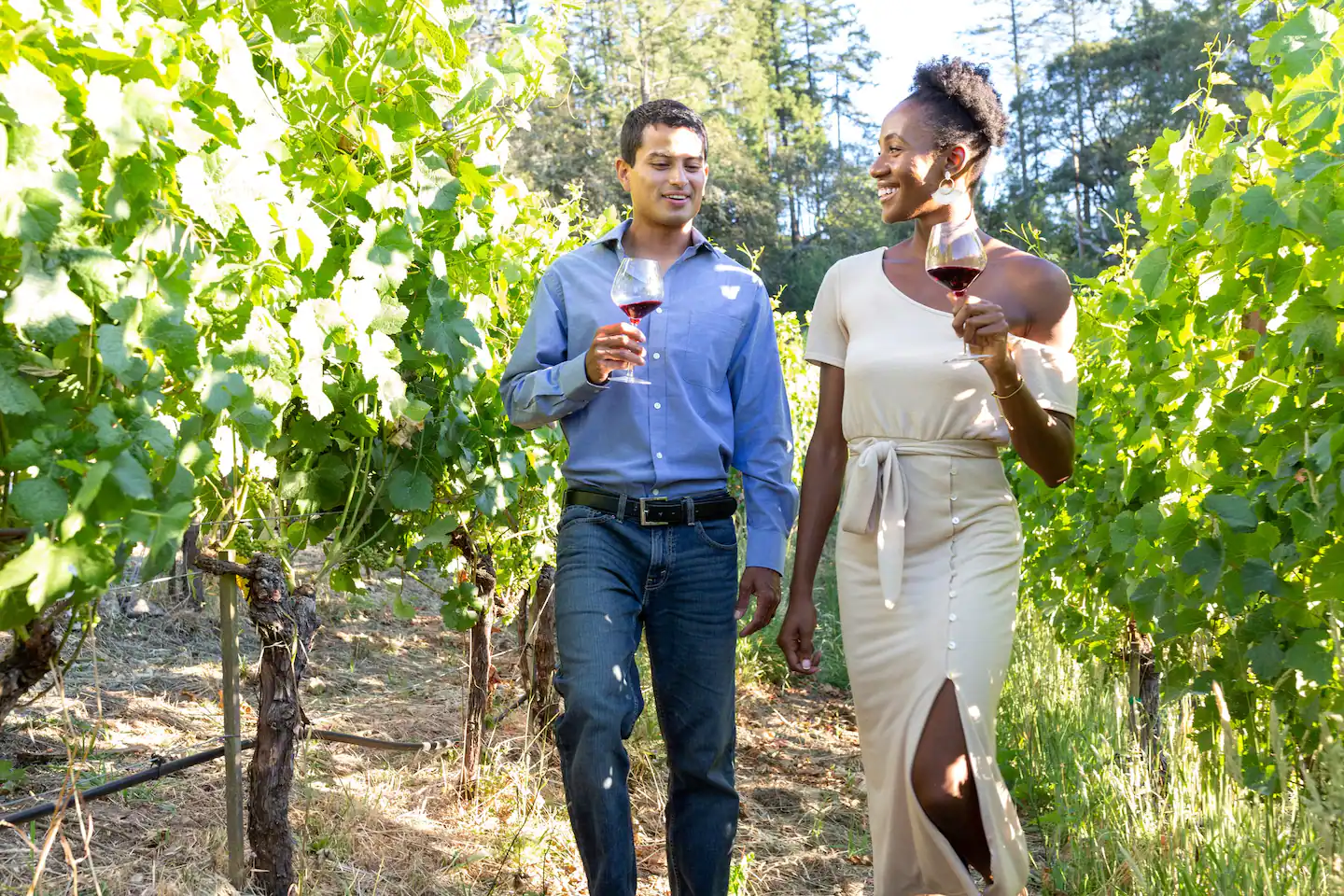 A couple was spotted touring the Halleck Vineyard in Sebastopol, sipping Pinot Noir and enjoying the beautiful vineyard estate. As they walked through the romantic vineyard, they were surrounded by picturesque views of Sonoma County's Wine Country. With a map in hand, they explored the many vineyards and wineries in the area, including the nearby Sonoma Plaza. They marveled at the variety of wines produced in the region and enjoyed a wine tasting while taking in the scenic valley. The couple was delighted to discover the many vineyards and wineries that make up California's rich wine culture, particularly those in the Sonoma Valley and Napa regions.