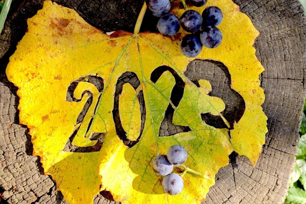 The image shows a grape leaf with the year 2023 cut out of it. It is a symbol of the certification programs available to wineries to certify themselves as sustainable. These programs follow environmental and economic standards and involve a specific certification process, such as USDA Organic.