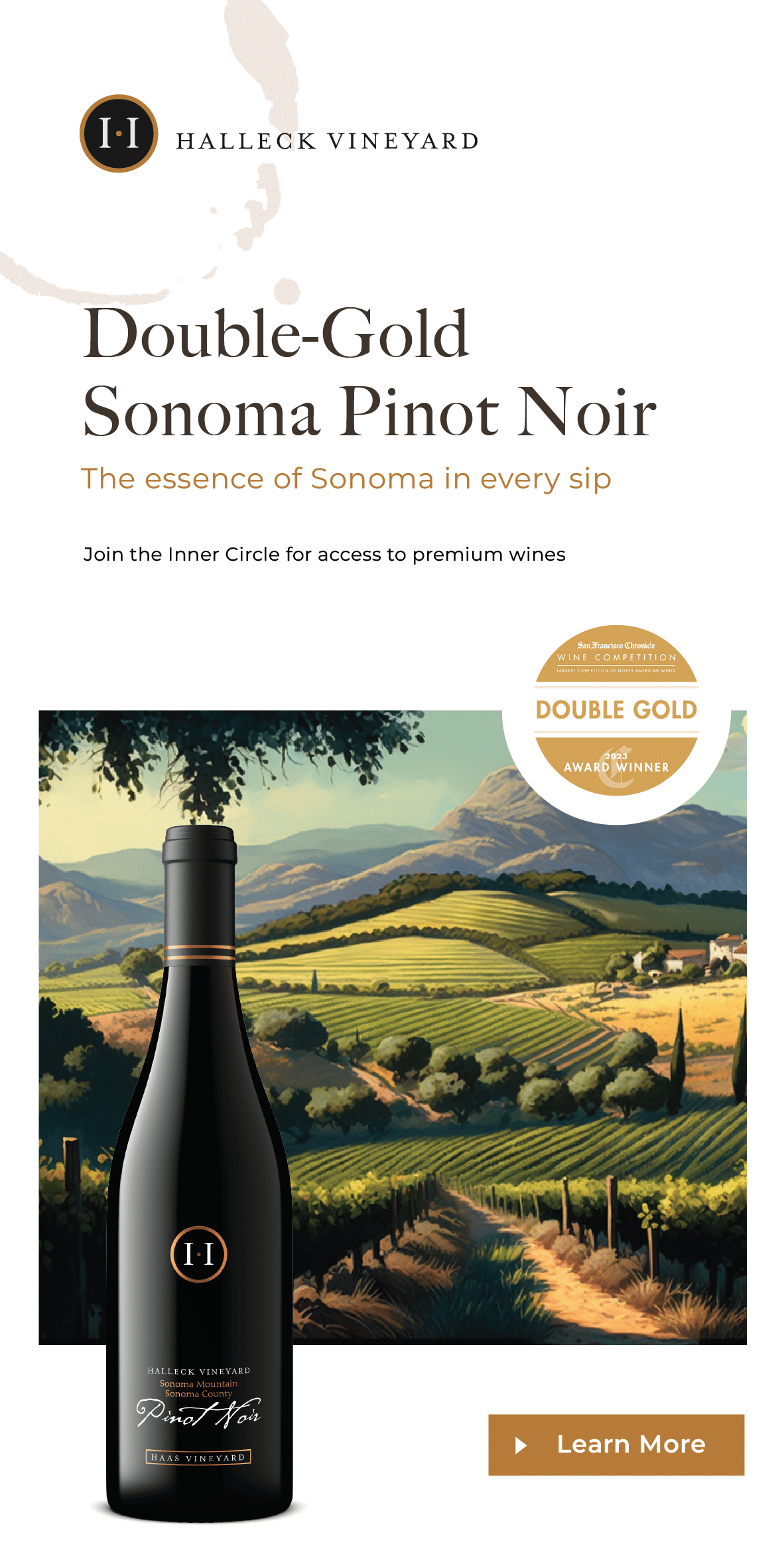 Sonoma Vineyards Worth Visiting