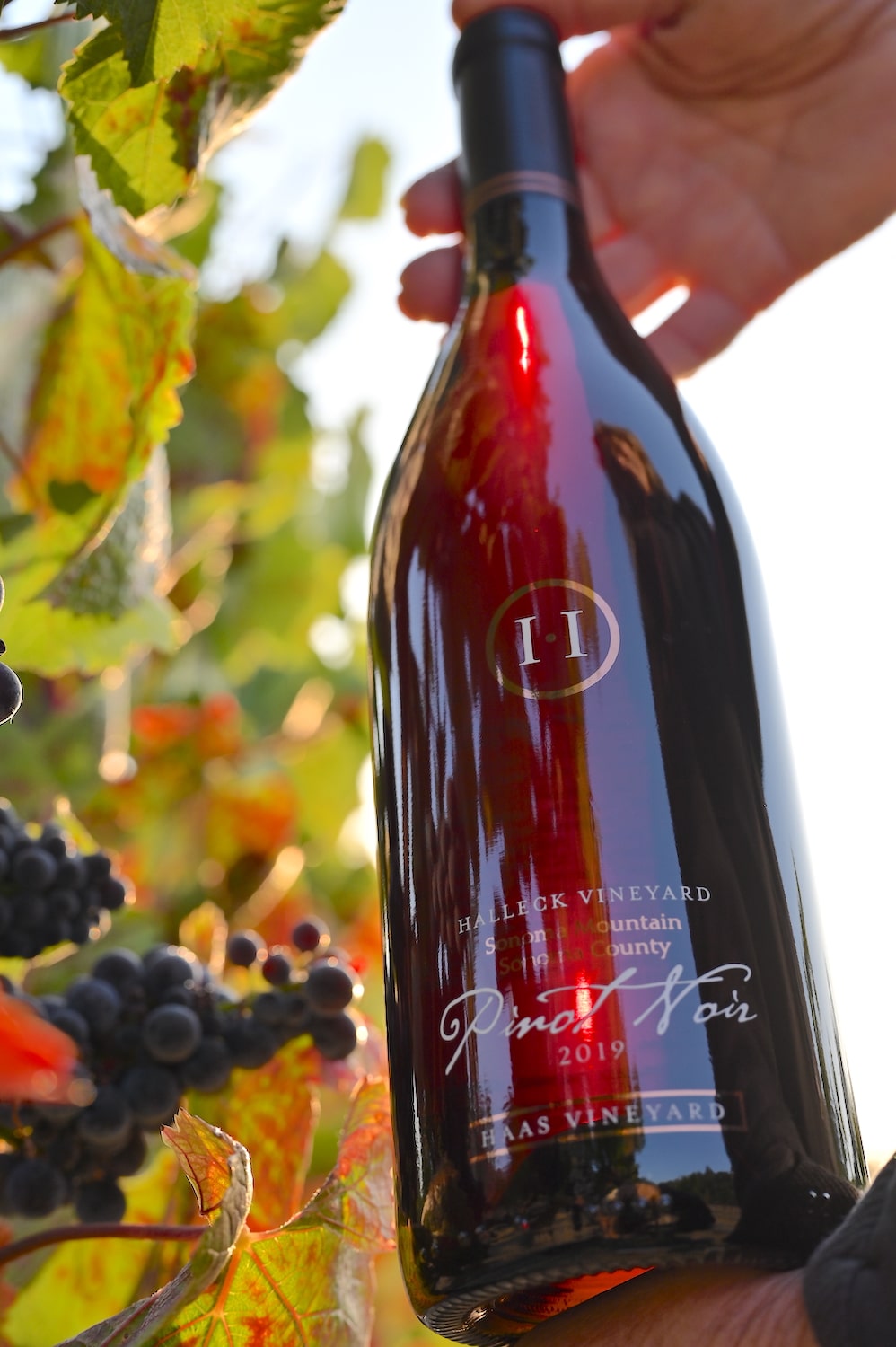 Double-Gold-Pinot-Noir-Sonoma