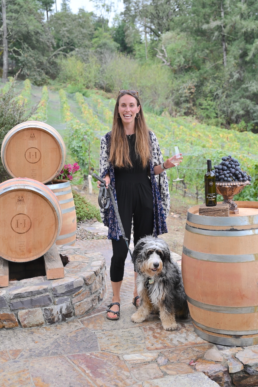 Family-Owned Wineries In Sonoma