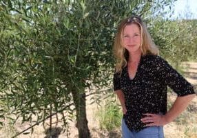 Best Time to Visit Wine Country