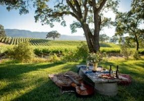 small wineries, wine tasting, wine experience, red wine, white wine